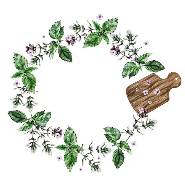 Compositions of thyme basil and cutting board Watercolor illustration