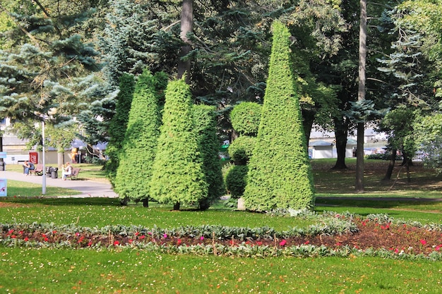 Compositions with trees and flower beds of beautiful flowers in the city park