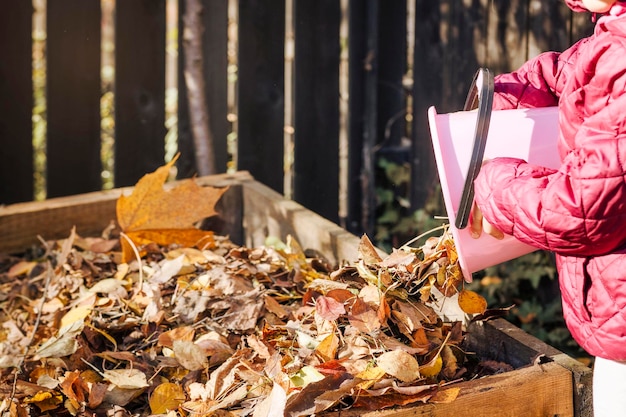 Compost Autumn Leaves Throwing Fallen Leaves in Compost Bin in Green City Recycling Fall Leaves