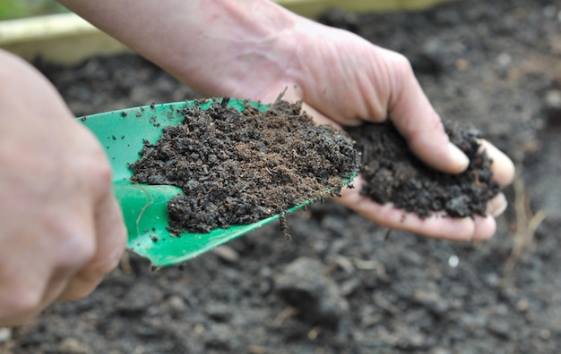 Compost for garden