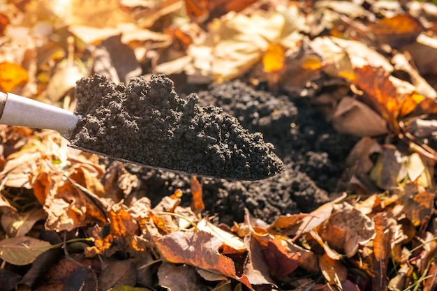 Photo compost pile soil on shovel from rotting fallen leaves in autumn recycling autumn leaves waste