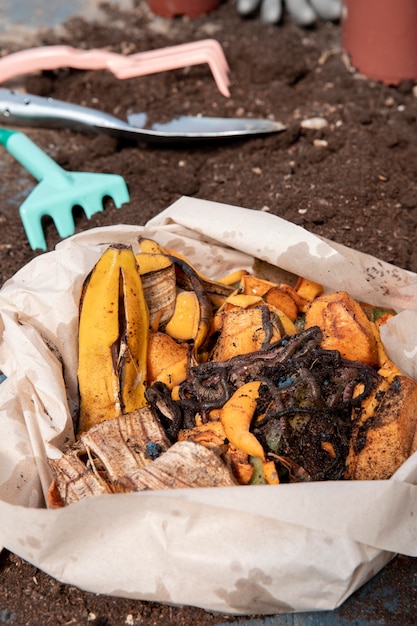 Compost still life concept