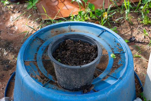鉢や洗面器の堆肥化された土壌