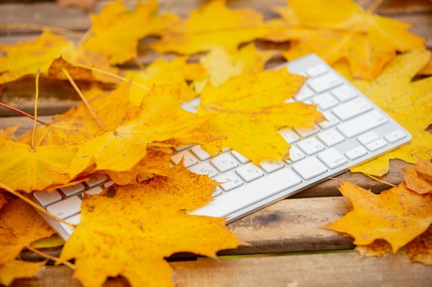 Computer keyboard and maple leaves on table