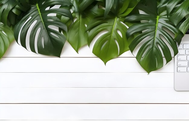 computer laptop keyboard over green monstera leaves on white wooden table for business work place card decor