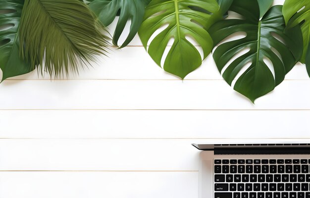 computer laptop toetsenbord over groene monstera bladeren op witte houten tafel voor zakelijke werkplek kaart decor