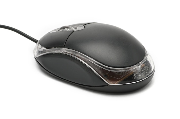 Computer mouse isolated