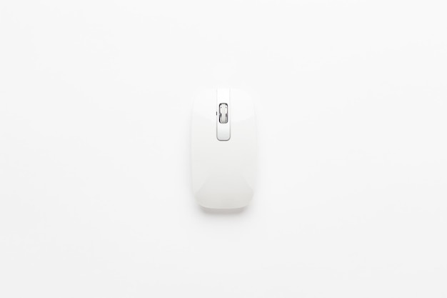 Computer mouse on white