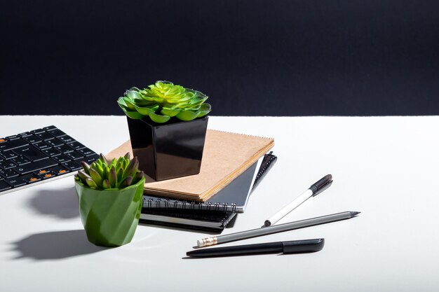 Computer notepads and succulent flowers. keyboard stationery at\
home office workplace for remote work. white home office table with\
copy space on black background with table lamp shadow.