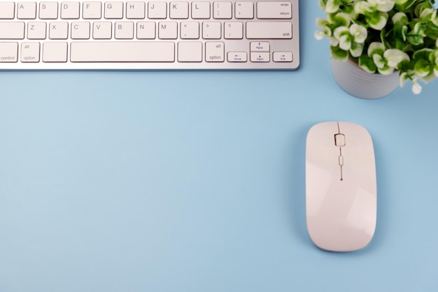 Computertoetsenbord en muis bovenop blauw bureau als achtergrond met potplant