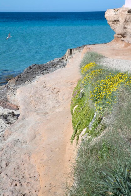 Foto comte spiagge a ibiza spagna