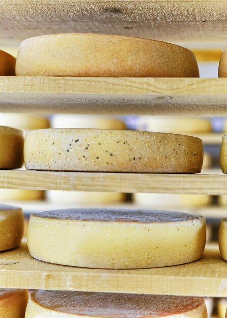 Comte Cheese on wooden shelves at maturing cellar in Franche Comte creamery in France