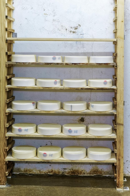 Comte Young Cheese op houten planken in rijpende kelder in Franche Comte-zuivelfabriek in Frankrijk