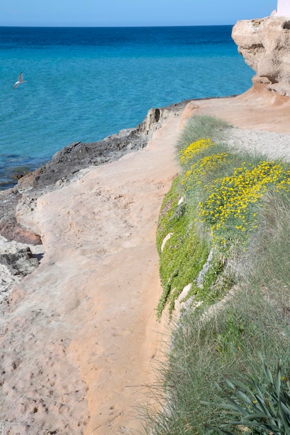 Comtestranden in Ibiza Spanje