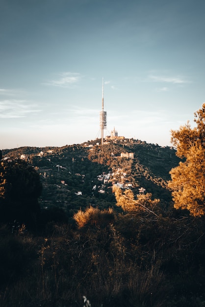 Foto torre di comunicazione nella foresta