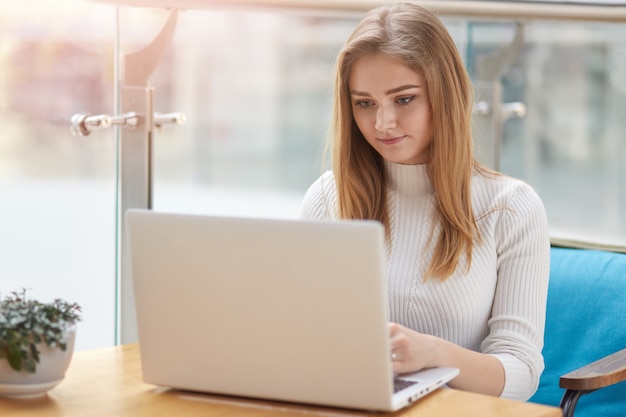 Concentrated beautiful female blogger concentrated into screen of laptop