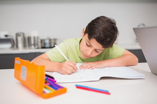 Concentrated boy doing homework in kitchen