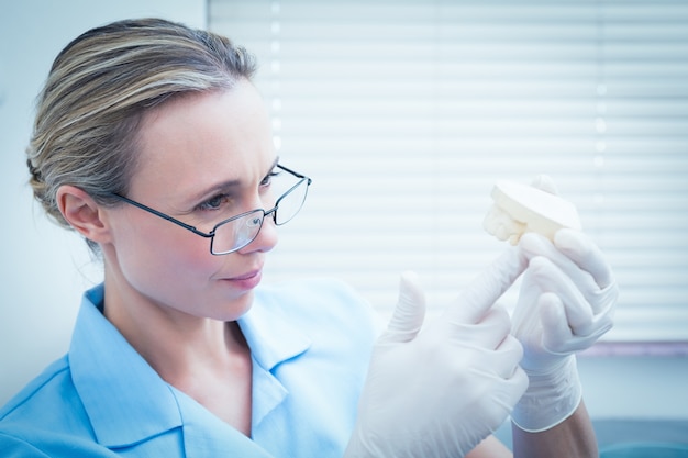 Concentrated female dentist looking at mouth model