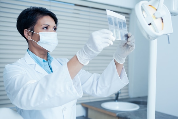 Concentrated female dentist looking at x-ray