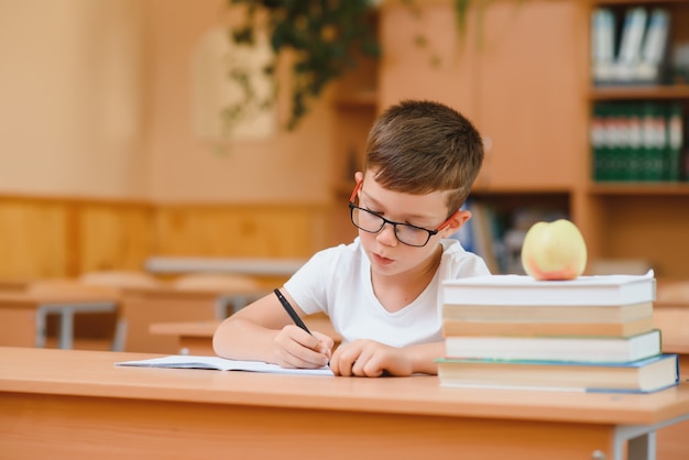 Concentrated schoolboy sitting at desk and writing in exercise book with classmate sitting behind