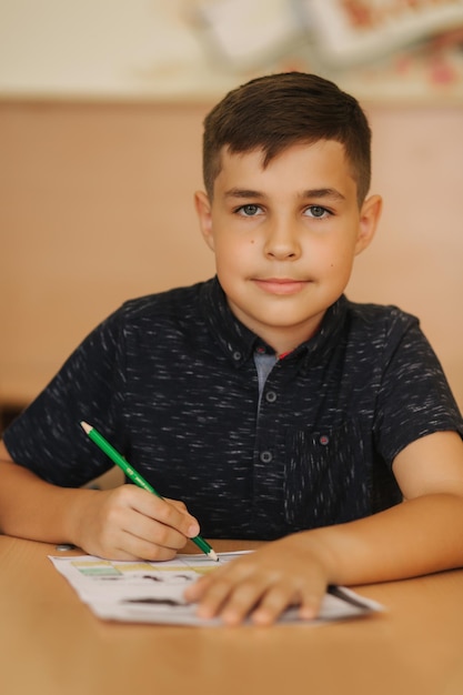 Concentrated schoolboy sitting at desk and writing in exercise book