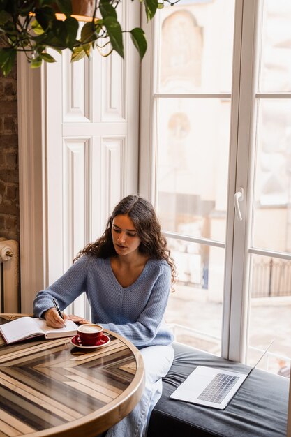 Concentrated young woman is studying online lesson with laptop
on the sofa near big window smart girl with laptop is making notes
in notebook near big window at home