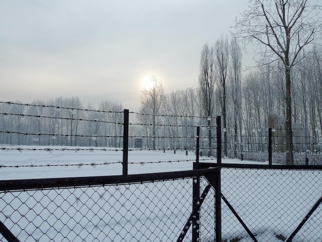 Concentratiekamp in Europa van de Tweede Wereldoorlog Polen Auschwitz concentratiekamp