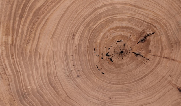 Concentric brown wooden background with annual rings