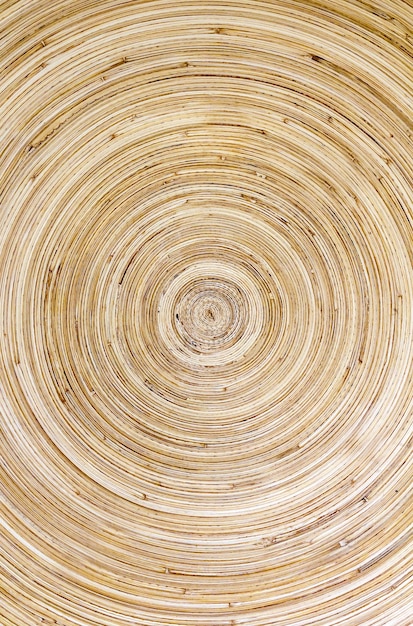 Photo concentric patterns of wood