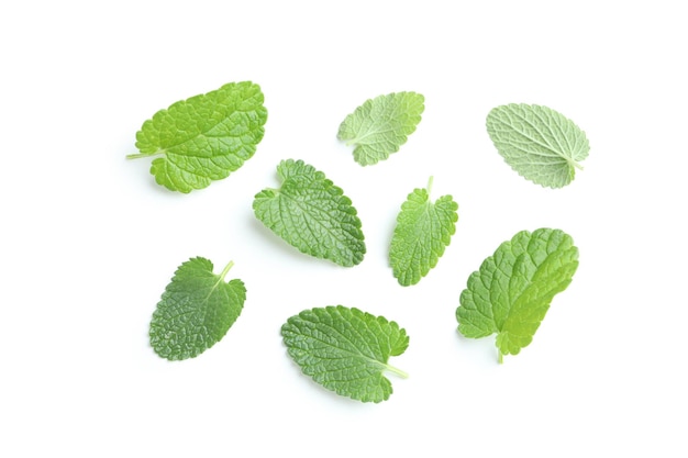 Photo concept of aromatherapy mint isolated on white background