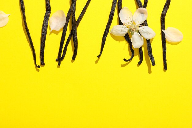 Concept of aromatherapy with aromatic vanilla extract