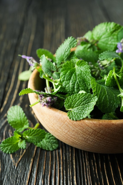 Concept of aromatherapy with mint close up