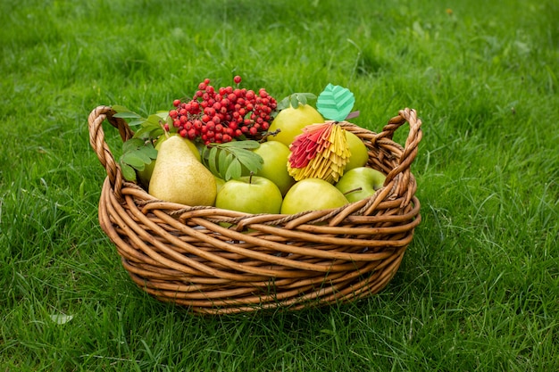 Concept of autumn Apple harvest