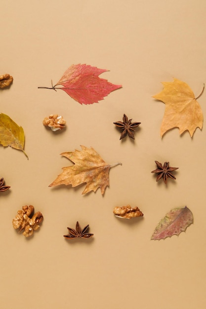 Concept of Autumn Autumn composition accessories on beige background