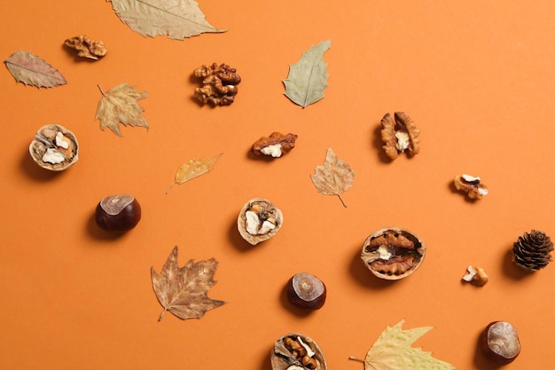 Concept of Autumn Autumn composition accessories on orange background