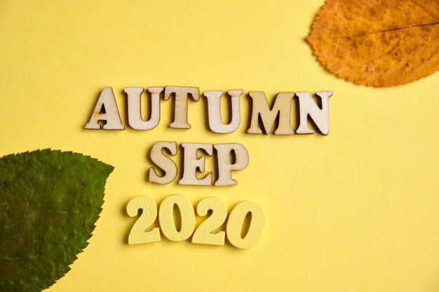 The concept of autumn - September in the new year. Wooden numbers 2020 with letters