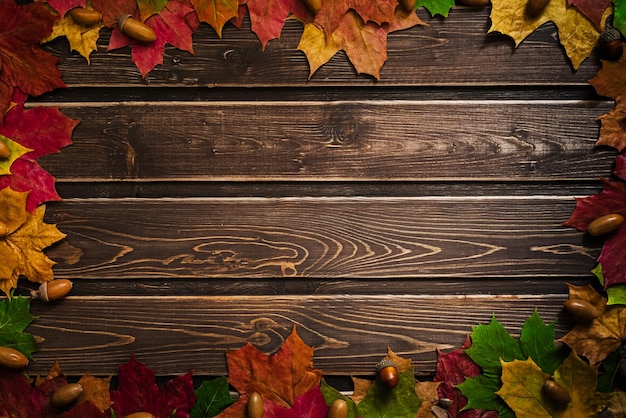 The concept of autumn wallpaper Dry maple leaves lined with frame for your text