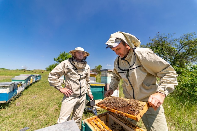 養蜂農家のコンセプト ハニカムを使った養蜂家