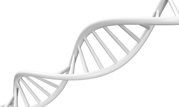 흰색 배경, 3d 렌더링에 고립 된 dna 분자와 생화학의 개념