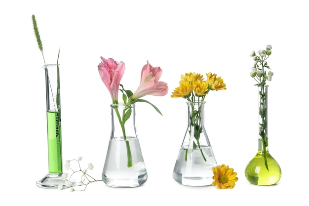 Concept of biology research test tubes and flowers isolated on white background