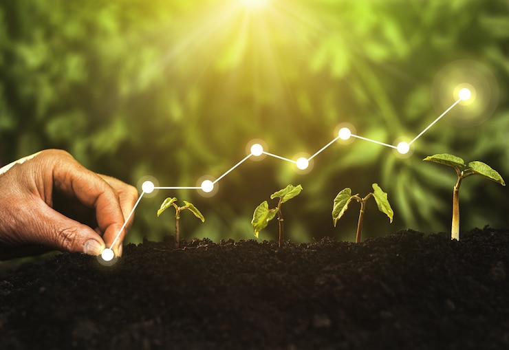 Photo concept of business growth profit development and success