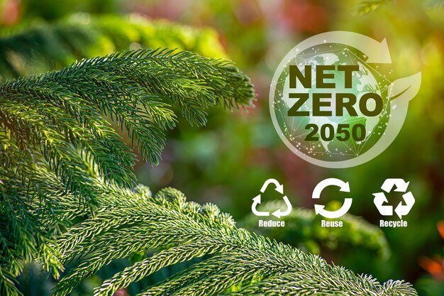 concept of carbon neutral and net zero emissions