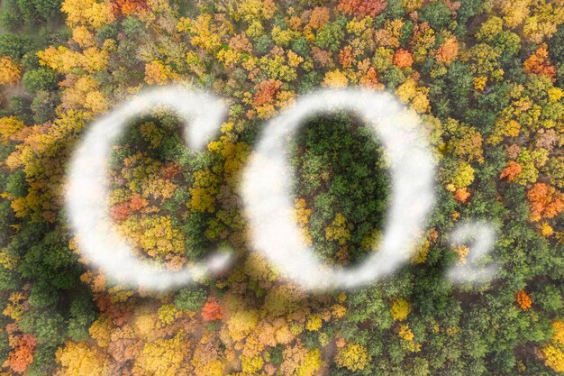 Foto concetto di iscrizione di co2 in aria limpida e bella vista dall'alto della foresta