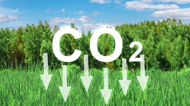 Concept CO2-uitstoot verminderen Groene bedrijven op basis van hernieuwbare energie kunnen klimaatverandering en opwarming van de aarde beperken Groen gras met CO2 of koolstofdioxide