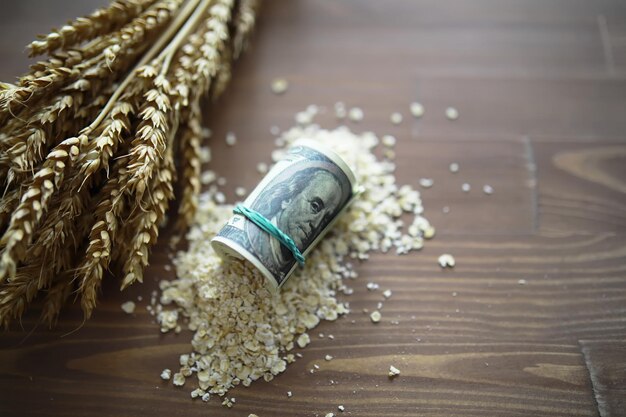 Photo the concept of the cost of grain 5000 ruble banknotes around a handful of ground grain world hunger