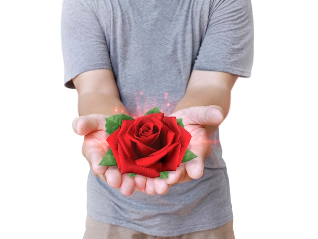 Concept creativity red rose on the hand male on white Background