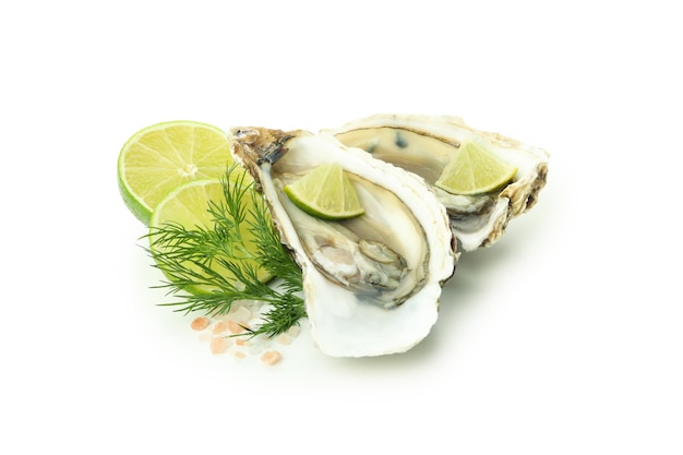 Concept of delicious seafood oysters isolated on white background