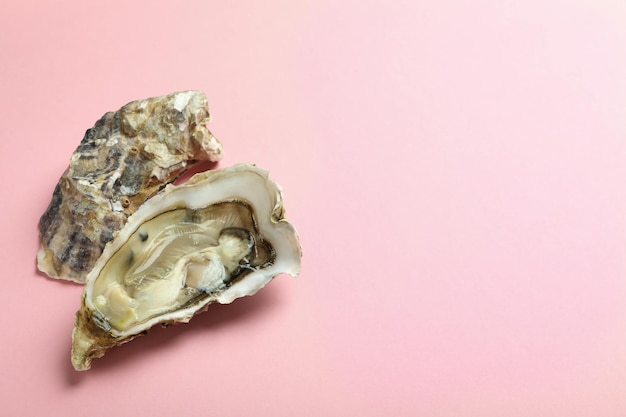 Concept of delicious seafood oysters on pink background