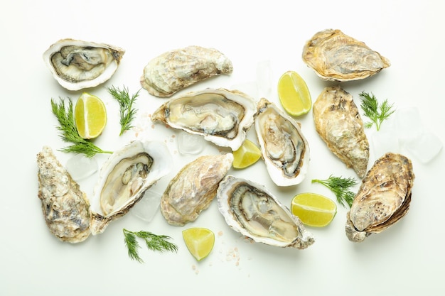 Concept of delicious seafood oysters on white background