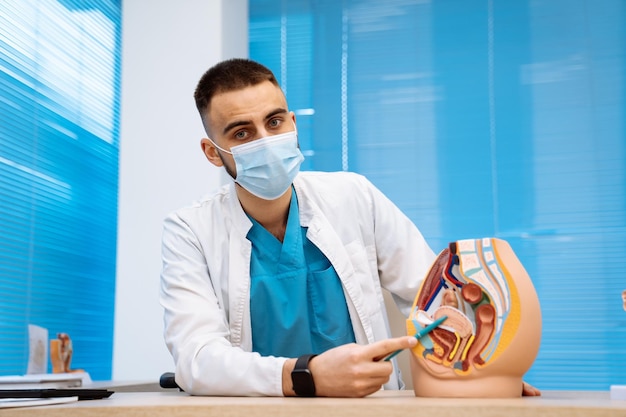 Foto il concetto di diagnosi della ricerca renale. il medico esamina un sistema modello urinario in clinica. mostrando metodi di problemi di salute su un modello dettagliato in plastica.